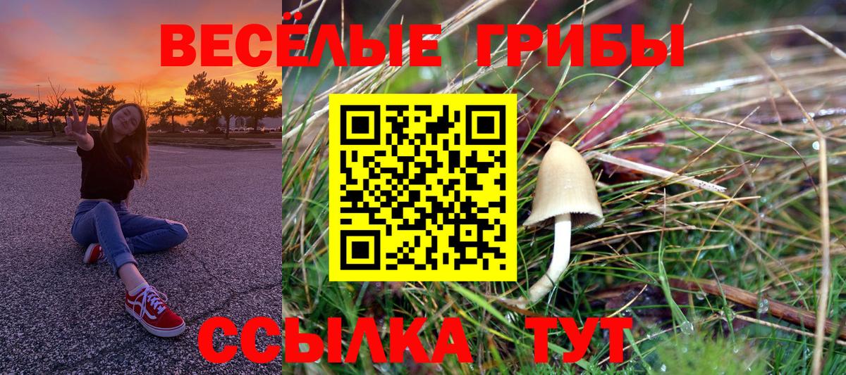 Кирово-Чепецк  Галлюциногенные грибы ЛСД  Псилоцибиновые грибы Psilocybe  Вход с VPN 