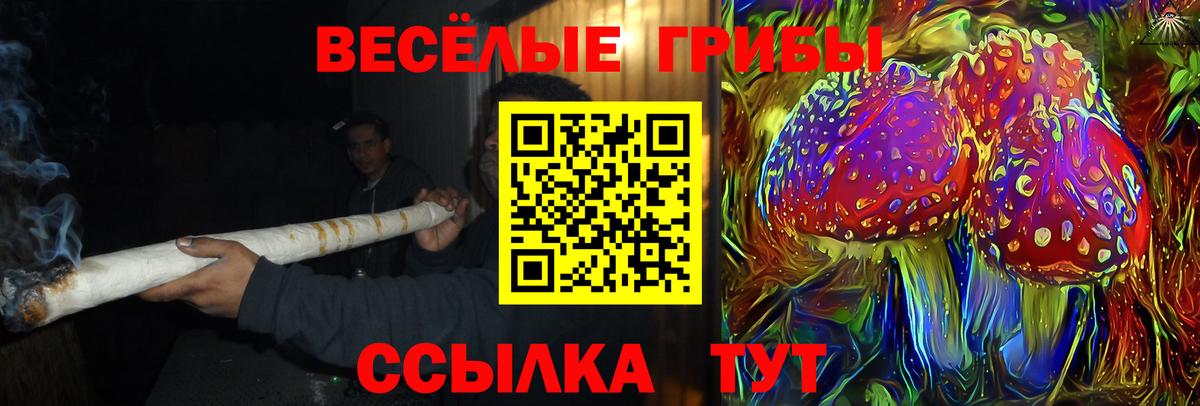 Галлюциногенные грибы Psilocybe Кирово-Чепецк